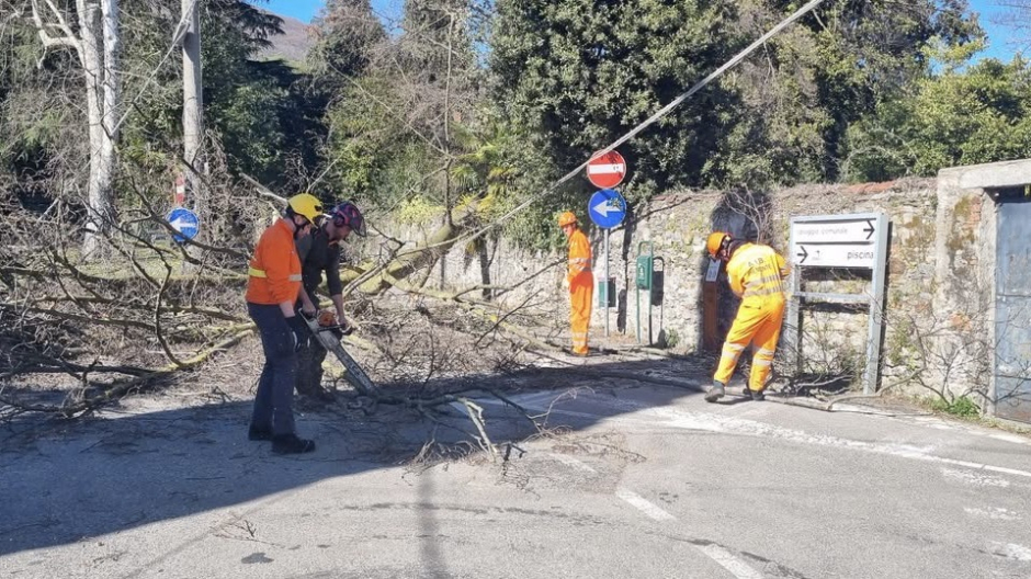 Lesa, caduta alberi e linea elettrica